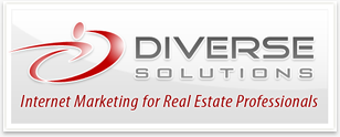 Diverse Solutions Logo